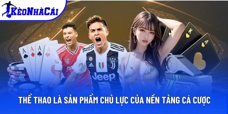 Thể thao là sản phẩm chủ lực của nền tảng cá cược