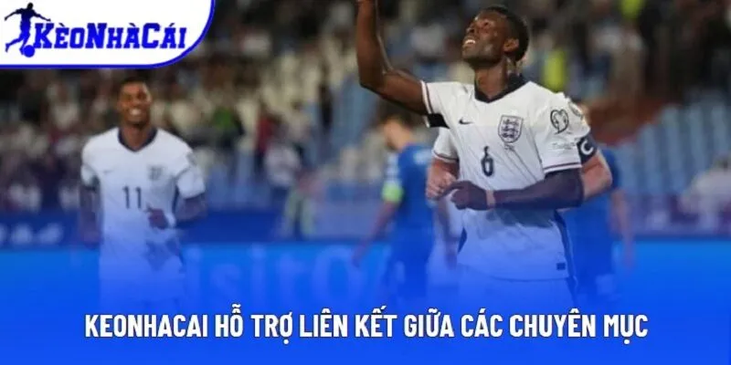 Keonhacai hỗ trợ liên kết giữa các chuyên mục